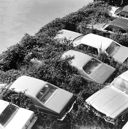 View of Junked Cars from Ogden Bridge at Division Street, from Changing Chicago